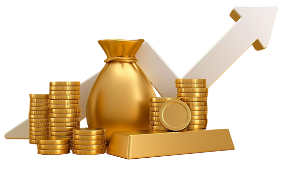 Monitor Your Investment